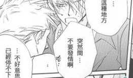 海贼王漫画h,勇闯H之秘境，探寻梦想的彼岸